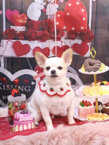 20250216モナちゃん